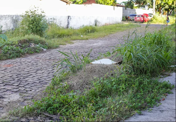 Moradores denunciam mato acumulado no Esplanada do Uruguai